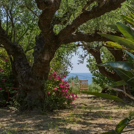 Anta House By The Sea Βίλα Λιθακιά